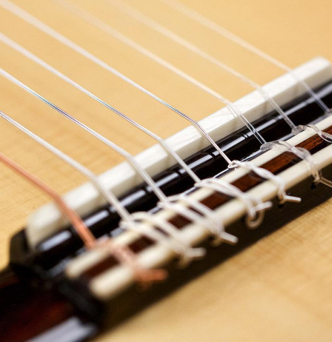 2017 Luiz Keller "8-String" SP/CSAR