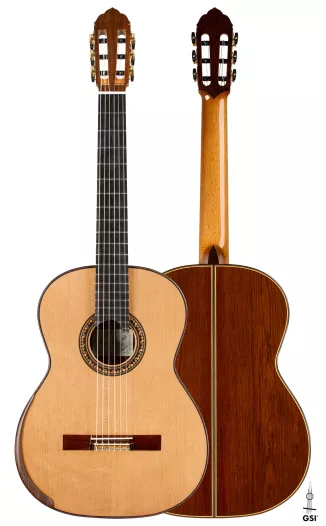 The Spanish Guitar 1750-1950 by Françoise de Ridder, Daniel Sinier