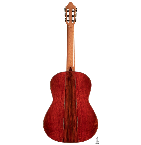 The back of a 2023 Zoran Kuvac classical guitar made of cedar and cocobolo on a white background.