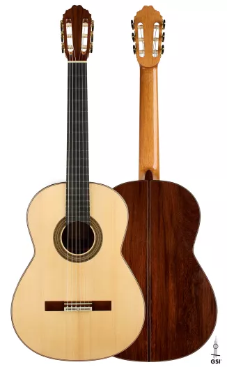 The Spanish Guitar 1750-1950 by Françoise de Ridder, Daniel Sinier