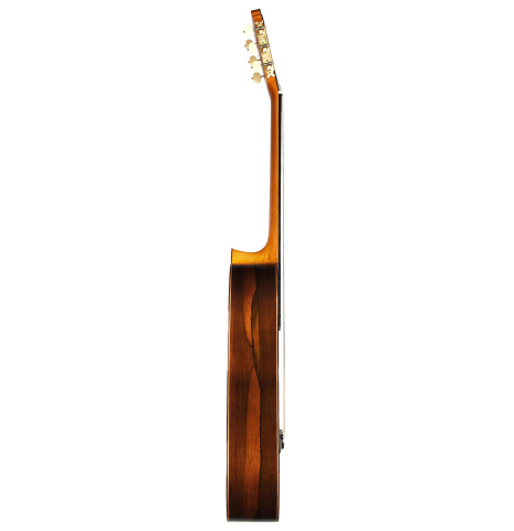 2015 Gabriele Lodi &quot;Contemporary&quot; SP/CSAR