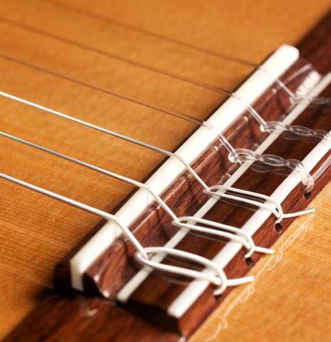 The bridge of a Loriente &quot;Clarita&quot; classical guitar made of cedar and Indian rosewood