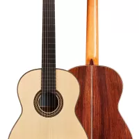 Loriente "Marieta" SP/IN Guitar | GSI