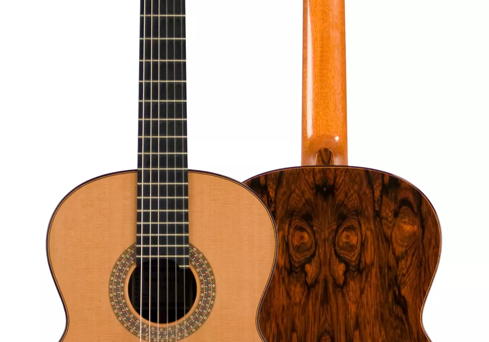Simon marty guitar for cheap sale