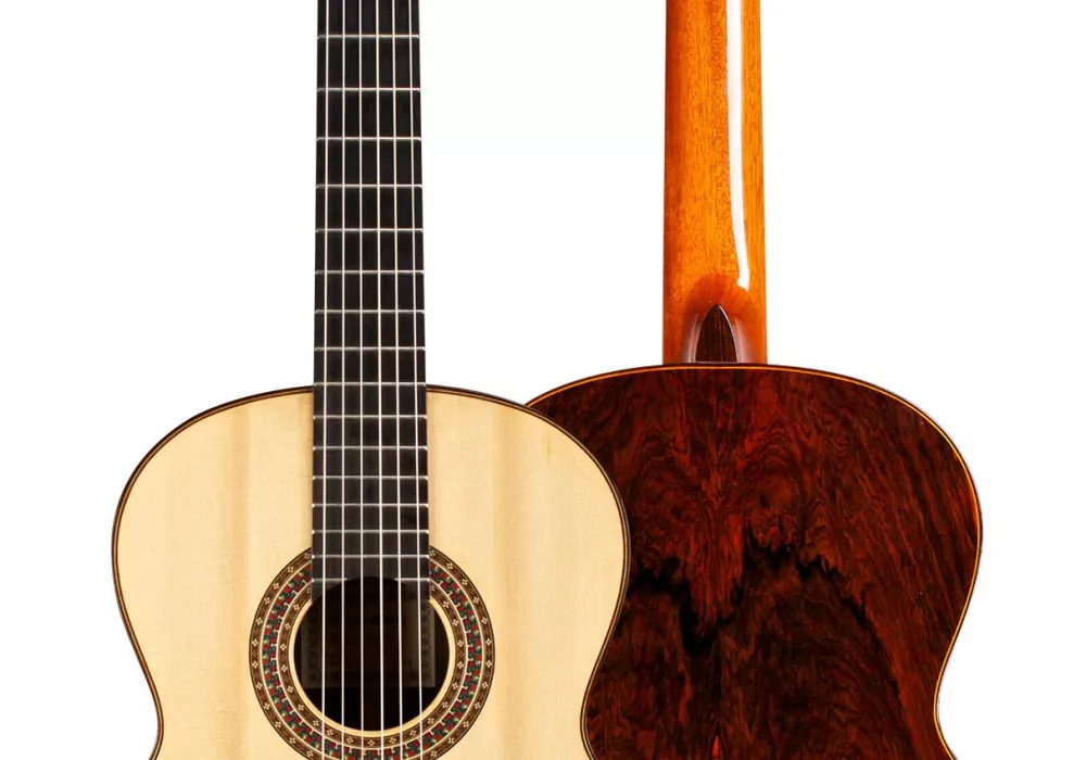 Simon marty guitar for sale deals