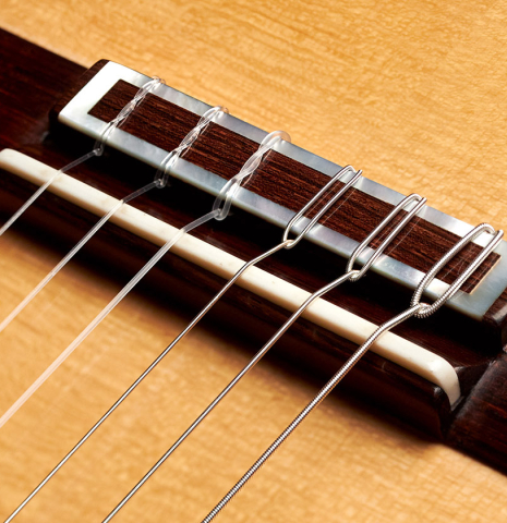 The bridge of a 1998 Antonio Marin Montero Spanish classical guitar made with spruce and CSA rosewood.