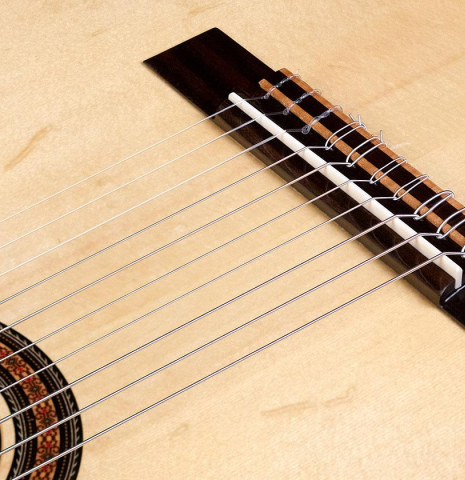 2013 Neris Gonzalez "Milagro 10-String" SP/IN