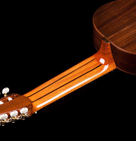 2013 Neris Gonzalez "Milagro 10-String" SP/IN