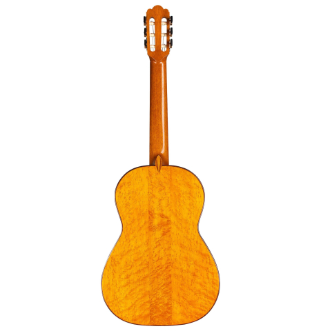 2004 Stefano Moccetti SP/MP