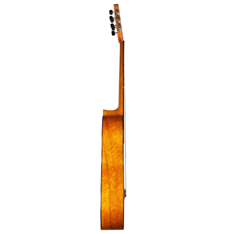 2004 Stefano Moccetti SP/MP