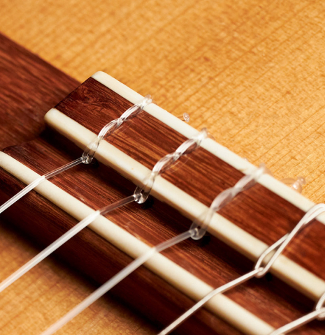 The bridge of a 1953 Edgar Monch classical guitar made with spruce and Indian rosewood.