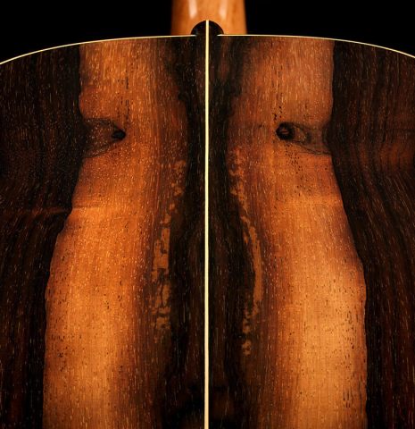 The yellow sapwood colorations on the back of a 2024 Stefan Nitschke "Santos" classical guitar made of spruce and CSA rosewood
