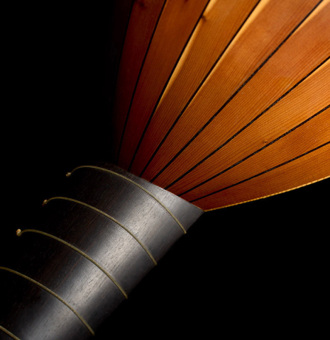 The back and neck of a 1988 Fritz Ober "7-Course Renaissance Lute" made of spruce and yew