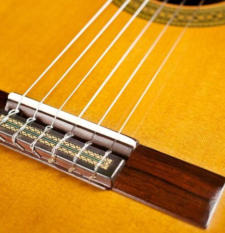 2013 Teodoro Perez "Especial" CD/CSAR