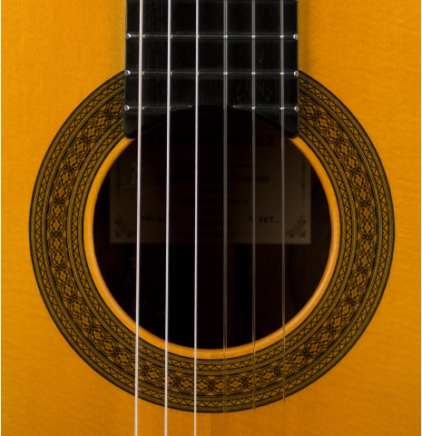 2011 Teodoro Perez "Maestro" SP/AR