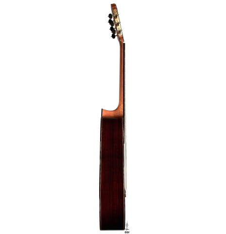 The side of a 2023 Teodoro Perez &quot;Concierto&quot; classical guitar made of cedar and Indian rosewood.