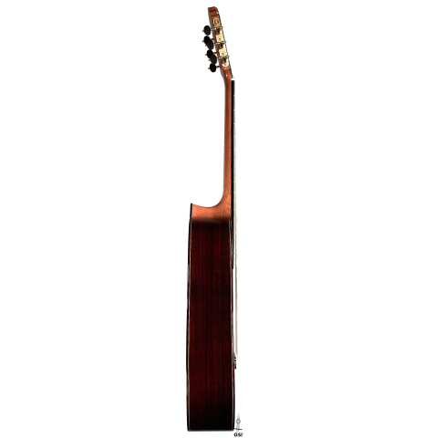 The side of a 2023 Teodoro Perez "Concierto" classical guitar made of cedar and Indian rosewood.