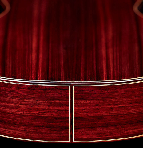 The back and sides of a 2022 Teodoro Perez &quot;Concierto&quot; classical guitar made with spruce and Indian rosewood
