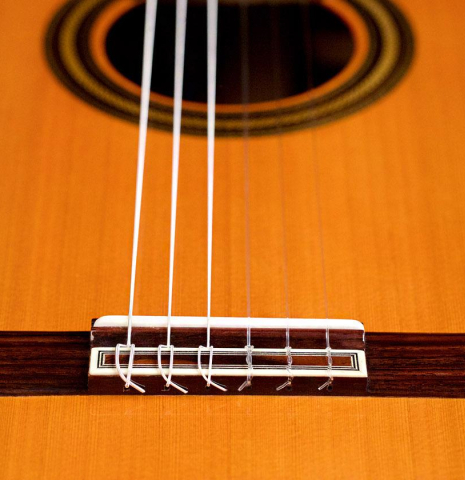 2019 Teodoro Perez "Estudio C-650" CD/IN