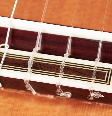 Closeup of the bridge, saddle and tie-block of a 2023 Teodoro Perez "Estudio C-650" classical guitar made of cedar and Indian rosewood.