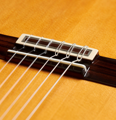 Closeup of the bridge, saddle and tie-block of a 2024 Teodoro Perez "Estudio C-650" classical guitar made of cedar and Indian rosewood.