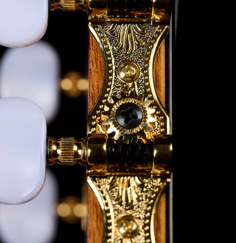Side-view of headstock and tuning machines of a 2026 Teodoro Perez "Estudio C-650" classical guitar made of cedar and Indian rosewood