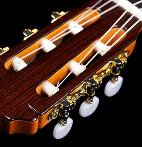 2017 Teodoro Perez "Estudio C-650" SP/IN