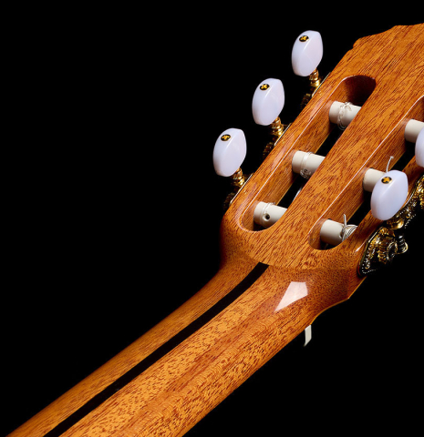 The back of the neck and headstock of a 2025 Teodoro Perez "Estudio C-650" classical guitar made of spruce and Indian rosewood