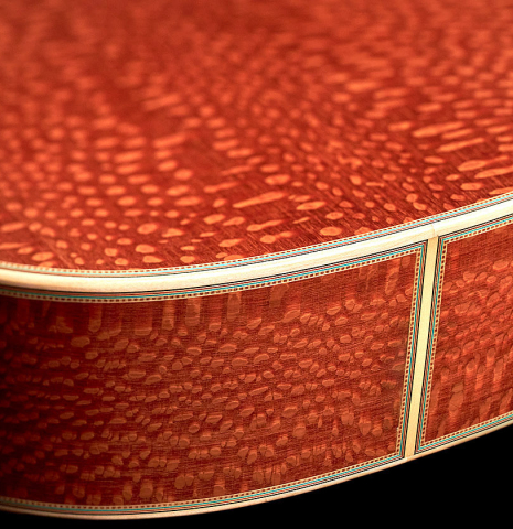 The back and sides of a 2022 Teodoro Perez &quot;Especial&quot; classical guitar model made with cedar and Brazilian lacewood