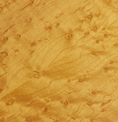 The birds-eye maple back of a 2024 Teodoro Perez "Especial" classical guitar made of spruce and maple