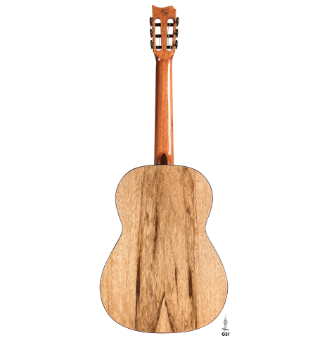 The back of a 2022 Raimundo Signature Edition “Tatyana Ryzhkova Black Limba” classical guitar made with cedar top The back of a 2022 Raimundo Signature Edition “Tatyana Ryzhkova Black Limba” classical guitar made with cedar top
