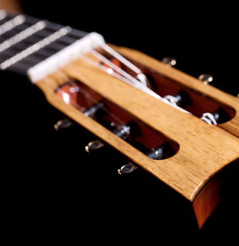 The headstock of a 2022 Raimundo Signature Edition “Tatyana Ryzhkova Black Limba” classical guitar made with cedar top The headstock of a 2022 Raimundo Signature Edition “Tatyana Ryzhkova Black Limba” classical guitar made with cedar top