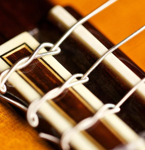 The tie block of a 1969 Jose Ramirez &quot;1a AM&quot; CD/CSAR previously owned by Andres Segovia