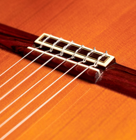 The bridge of a 1974 Jose Ramirez "2a" Spanish classical guitar made with cedar top and Indian rosewood back and sides.