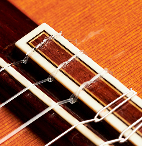 The tie block of a 1977 Jose Ramirez "1a" classical guitar made with cedar nad Indian rosewood.