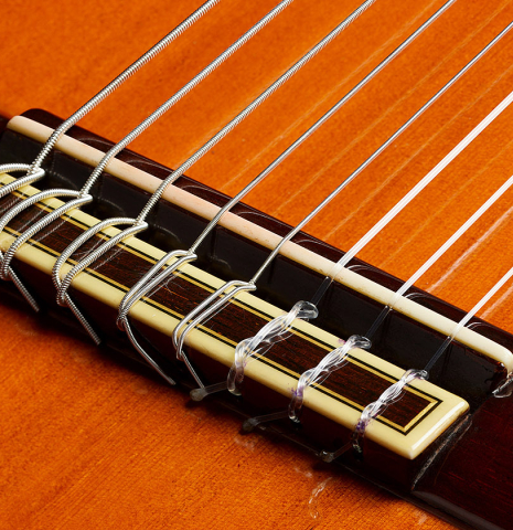 The bridge, tie-block and saddle of a 1974 Jose Ramirez "1a 8-String" classical guitar made of cedar and CSA rosewood