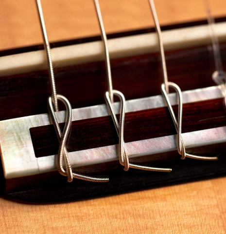 The bridge, saddle and nylon strings of a 2003 Antonio Raya Pardo classical guitar made of spruce and CSA rosewood