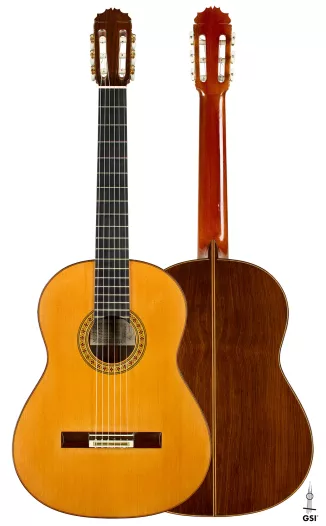 1887 Antonio de Torres SP/MH Guitar | GSI