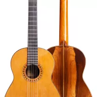 Mondino EROS GUITAR 写真集 Mondino EROS GUITAR 写真集 Mondino EROS