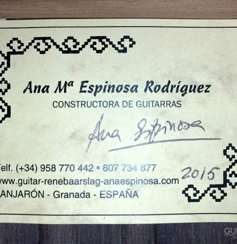2015 Ana Espinosa Rodriguez CD/IN