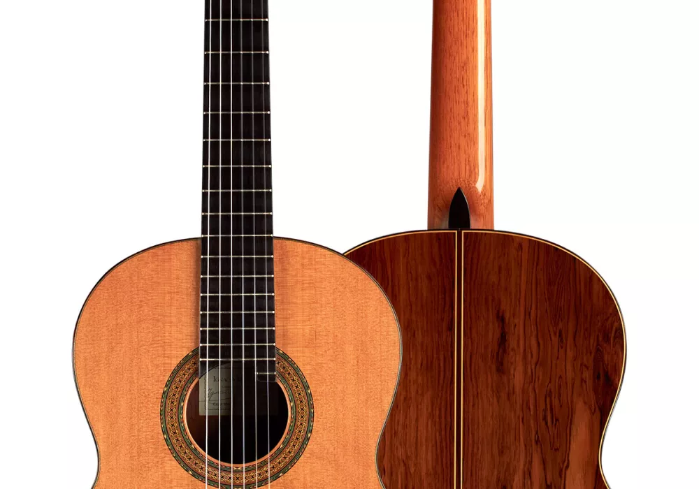 イグナシオ・ロサス クラシックギター Ignacio Rozas | GSI