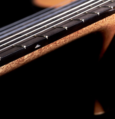 The nylon strings and fingerboard of a 2023 German Vazquez Rubio &quot;Classic Estudio&quot; classical guitar made of cedar and palo escrito