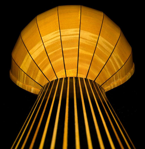 1966 &quot;Jose&quot; David Rubio 9-course lute SP/MP