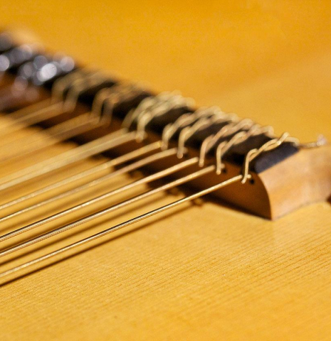 1966 &quot;Jose&quot; David Rubio 9-course lute SP/MP