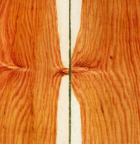 The back center seam of a 2025 German Vazquez Rubio "Classic Estudio" classical guitar made of spruce and Palo Escrito.