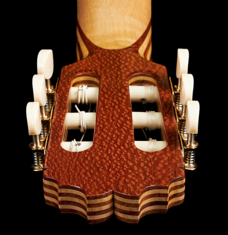 The veneer on the back of the headstock of a 2023 German Vazquez Rubio "Concert 635" classical guitar made of spruce and maple