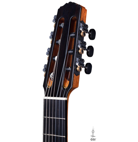 2017 German Vazquez Rubio "7 String" SP/AB