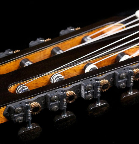 2017 German Vazquez Rubio "7 String" SP/AB
