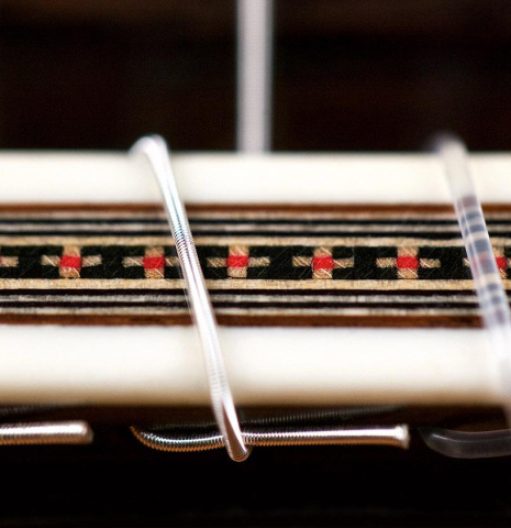 2017 German Vazquez Rubio "Custom Elite" CD/IN