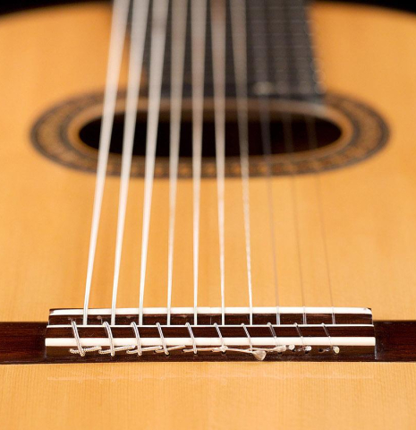 2011 German Vazquez Rubio "Concert 635 10-String" SP/PE